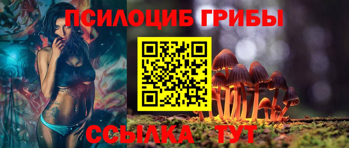 Галлюциногенные грибы прущие грибы Ярцево