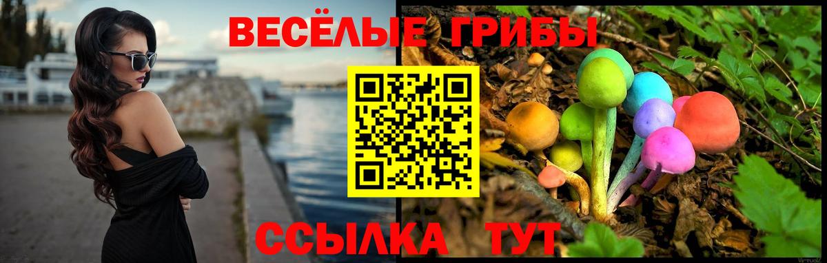 Галлюциногенные грибы Psilocybine cubensis  Вход с VPN  купить наркотики сайты  Ярцево  Галлюциногенные грибы Cubensis 